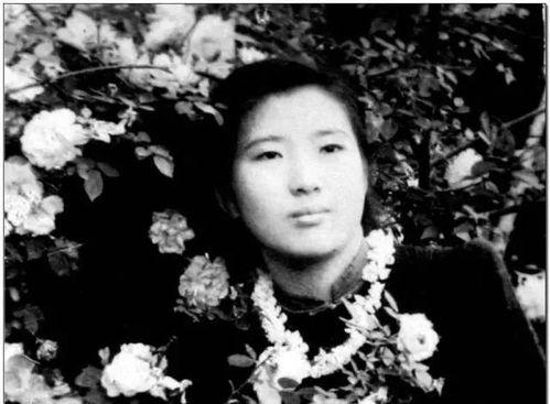 娱乐圈摆烂吃瓜是谁,揭秘明星圈层背后的真实故事